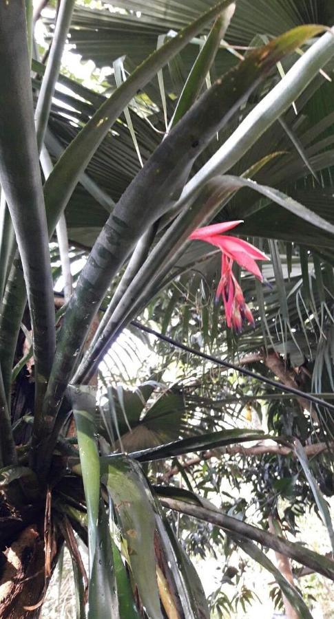 Jardín de Naipí Apartamento Puerto Iguazú Exterior foto