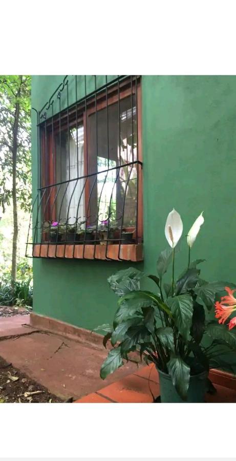 Jardín de Naipí Apartamento Puerto Iguazú Exterior foto
