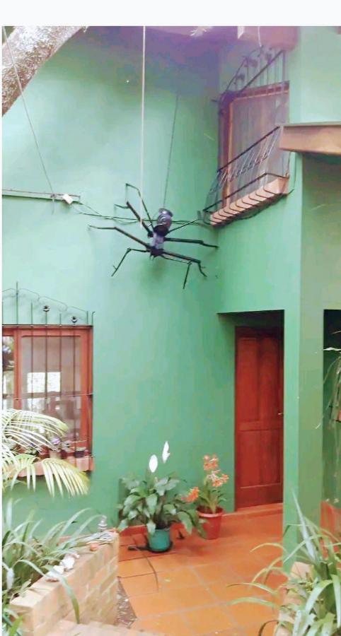 Jardín de Naipí Apartamento Puerto Iguazú Quarto foto
